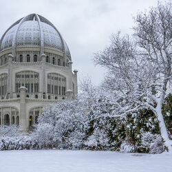 Пазл: Торжественная красота