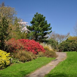 Пазл: Сад Борде-Хилл, Англия