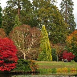 Пазл: Сад Борде-Хилл, Англия