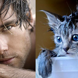 Пазл: Мужчины и коты