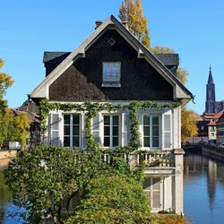 Пазл: Страсбург