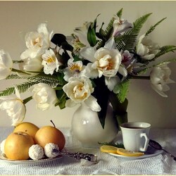 Пазл: Натюрморт с белыми тюльпанами