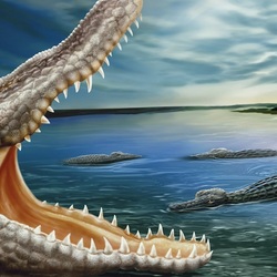 Пазл: Аллигатор