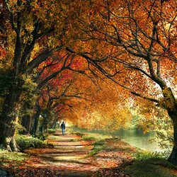 Пазл: Аллея