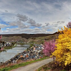 Пазл: Целль