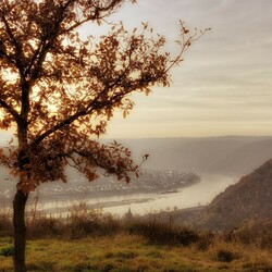 Пазл: Замок Максбург, Германия