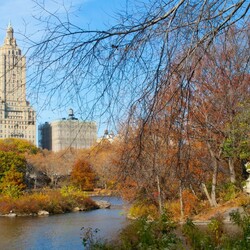 Пазл: Нью-Йорк, США