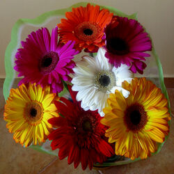 Пазл: Букет