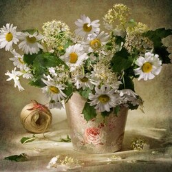 Пазл: Ромашки