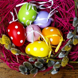 Пазл: Гнездышко