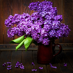 Пазл: Букет сирени