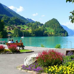 Пазл: Изельтвальд, озеро Бриенц