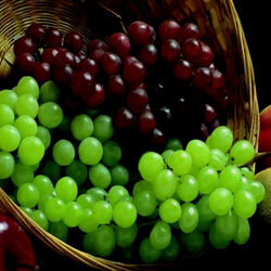 Пазл: Виноград