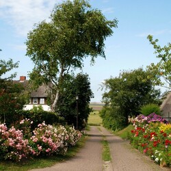 Пазл: Нордорф, Германия