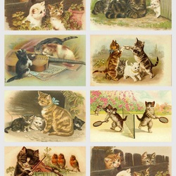 Пазл: Кошечки