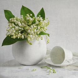 Пазл: Ландыши