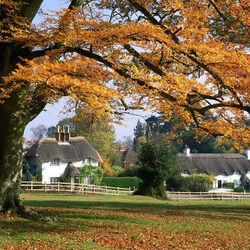 Пазл: Английский пейзаж