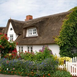 Пазл: Деревня Небель