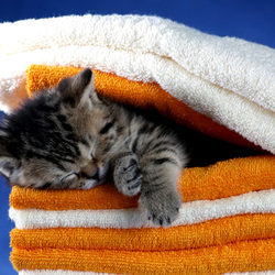 Пазл: Уютное местечко