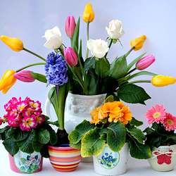 Пазл: Цветы