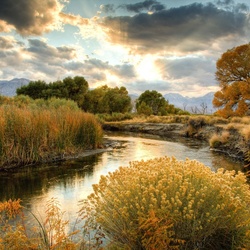 Пазл: Речка