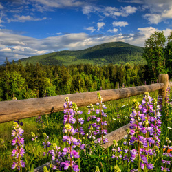 Пазл: Альпы