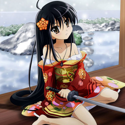 Пазл: Самурайка