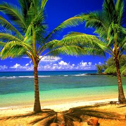 Пазл: Гавайские острова