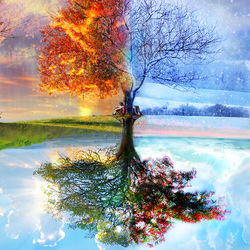 Пазл: Сезоны