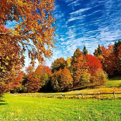 Пазл: Пиенин Национальный парк