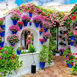 Пазл: Фестиваль цветов в Кордове