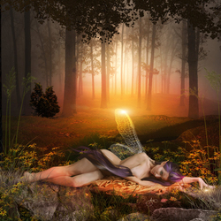 Пазл: Лесной рассвет