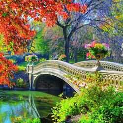 Пазл: Романтический мост