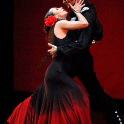 Пазл: Фламенко