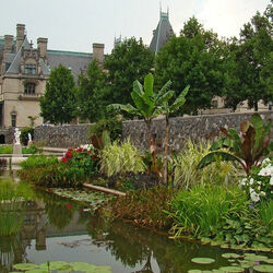 Пазл: Пруд возле замка