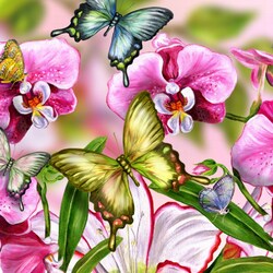 Пазл: Орхидеи и бабочки