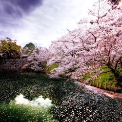 Пазл: Весенняя пора