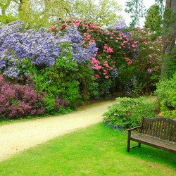 Пазл: Сады Эксбери (Exbury Gardens)