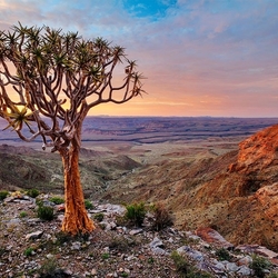 Пазл: Намибия