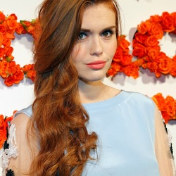 Пазл: Холлэнд Роден