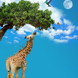 Пазл: Жираф