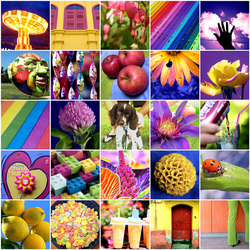 Пазл: Коллаж