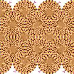 Пазл: Оптическая иллюзия  Акиоши Китаока