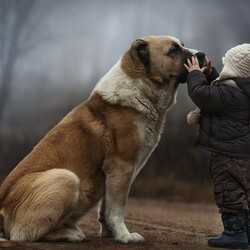 Пазл: Настроение