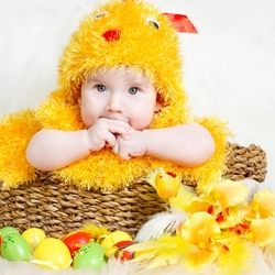 Пазл: Цыпленок