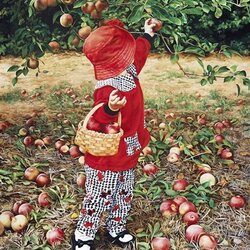 Пазл: Урожай яблок