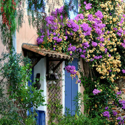 Пазл: Цветы у дома