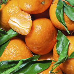 Пазл: Цитрусовое настроение