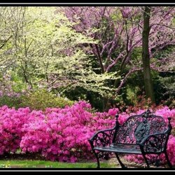 Пазл: В парке