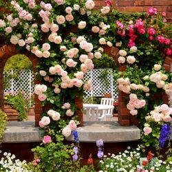 Пазл: Великолепие